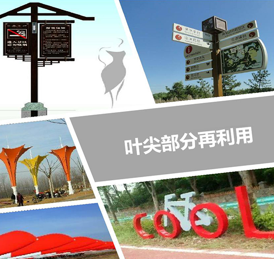 葉片尖部再利用
